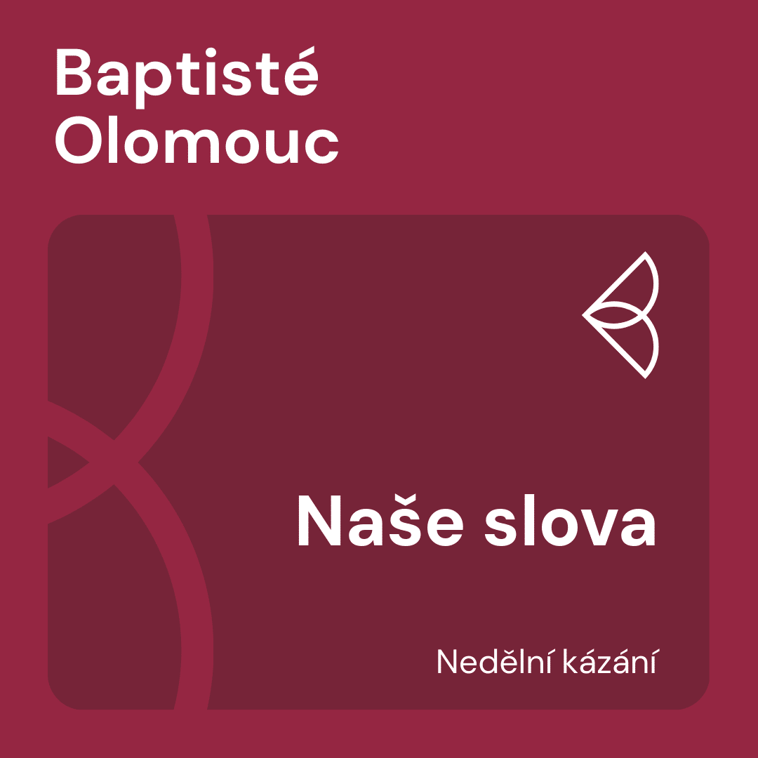 Naše slova (4.1.2026) episode artwork